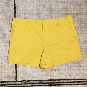 LOFT SHORTS